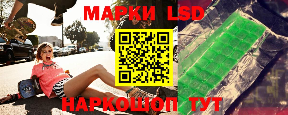 Галлюциногенные грибы Тайшет
