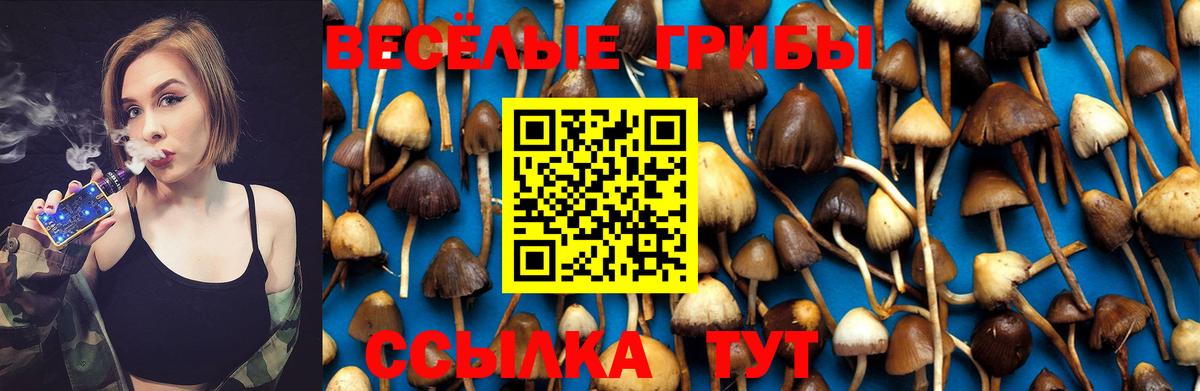 Тайшет  Галлюциногенные грибы мицелий  Вход с VPN 